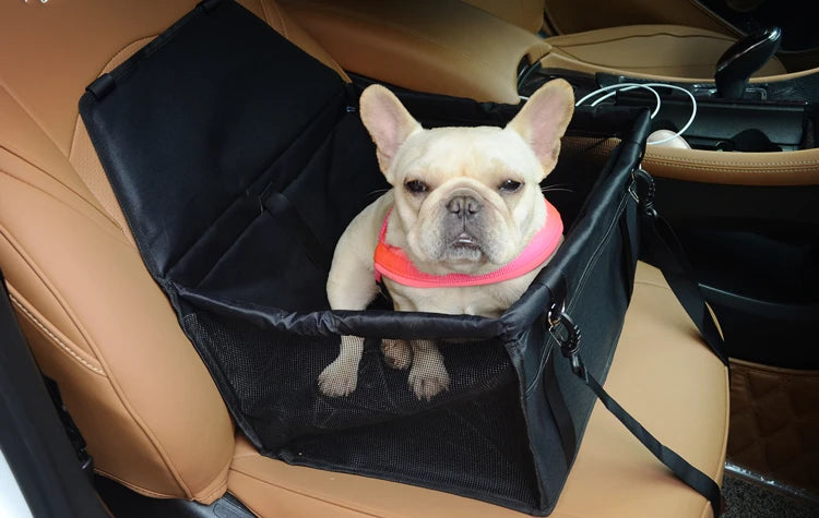 Dog Car Seat Booster with Seat Belt Harness Restraint