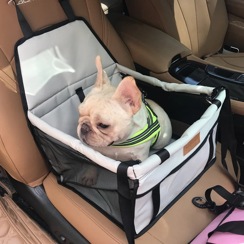 Dog Car Seat Booster with Seat Belt Harness Restraint