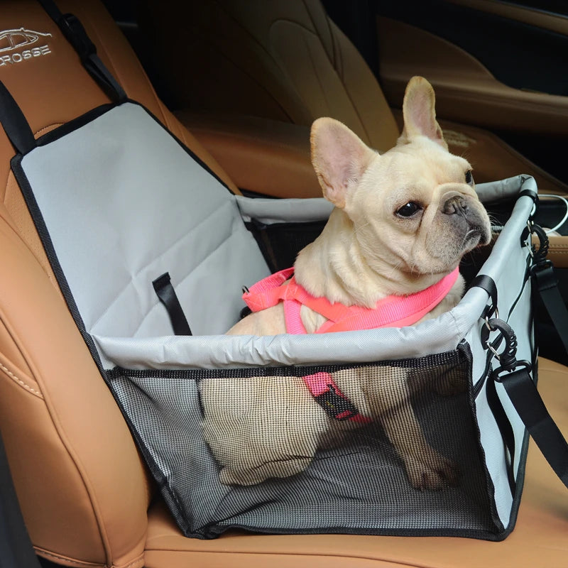 Dog Car Seat Booster with Seat Belt Harness Restraint