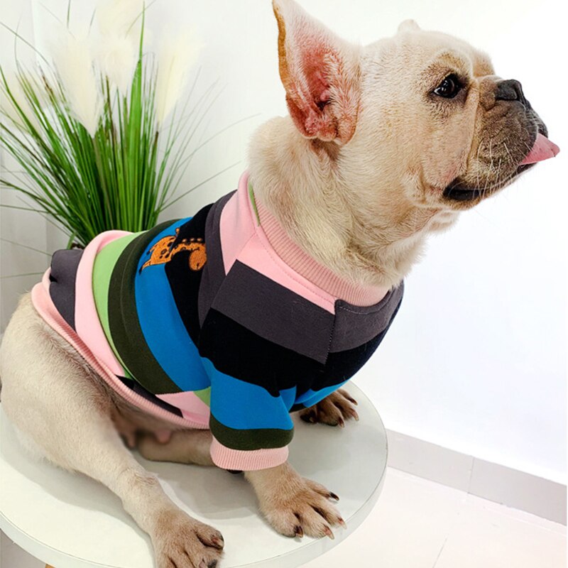 Rainbow Matching Sweater for Owner and Pet Dog