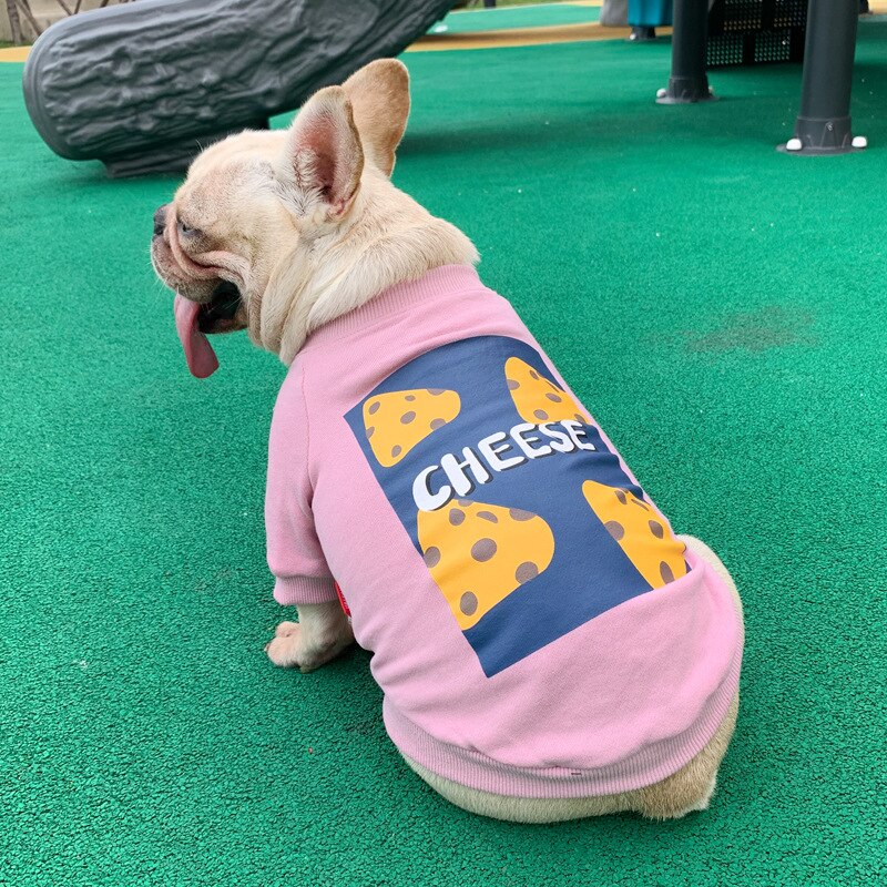 Cheese Matching Sweater for Owner and Pet Dog