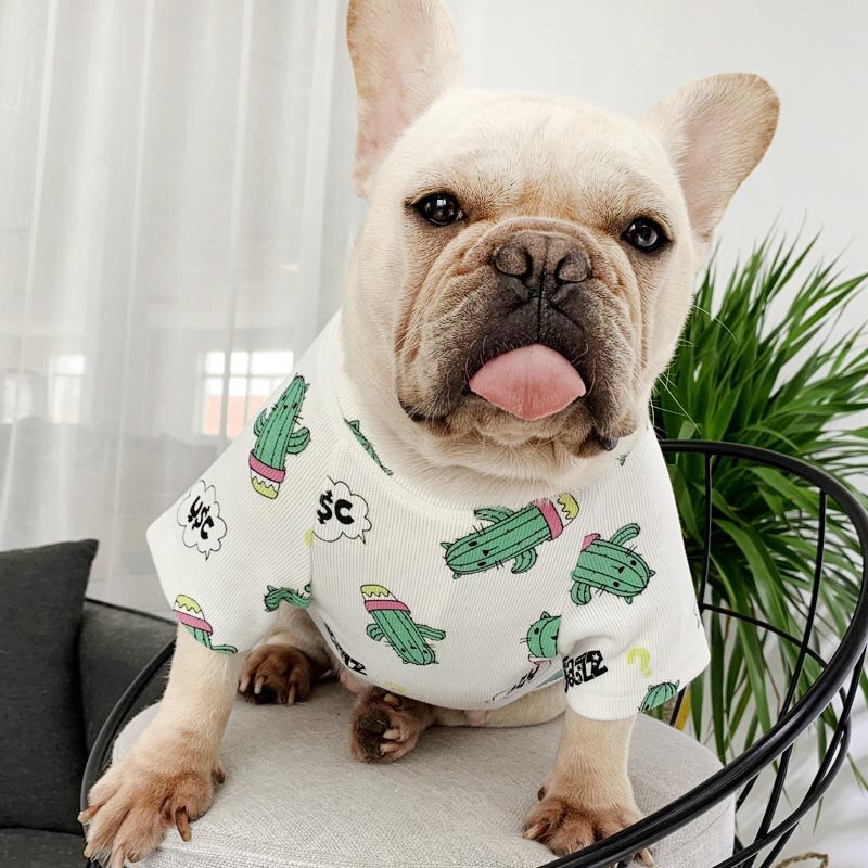 Cool CATus Sweater Matching Tops for Owner and Pet Dog