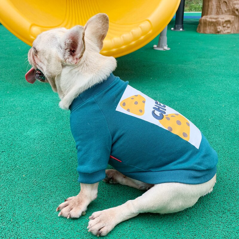 Cheese Matching Sweater for Owner and Pet Dog