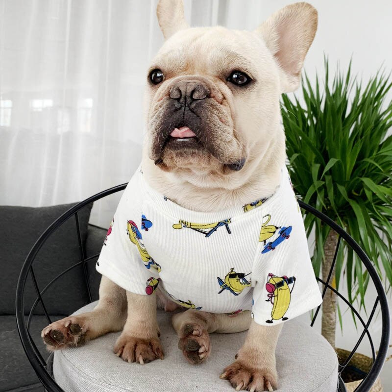 Cool Banana Matching Sweater for Owner and Pet Dog