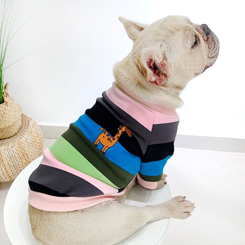 Rainbow Matching Sweater for Owner and Pet Dog