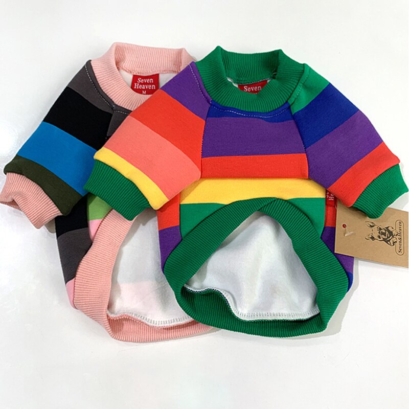 Rainbow Matching Sweater for Owner and Pet Dog