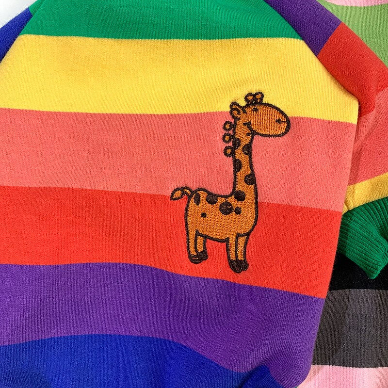 Rainbow Matching Sweater for Owner and Pet Dog