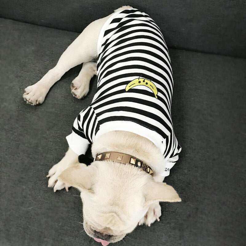 Stripe Banana Long Sleeve Top Matching Jumper Clothing for Owner and Dog