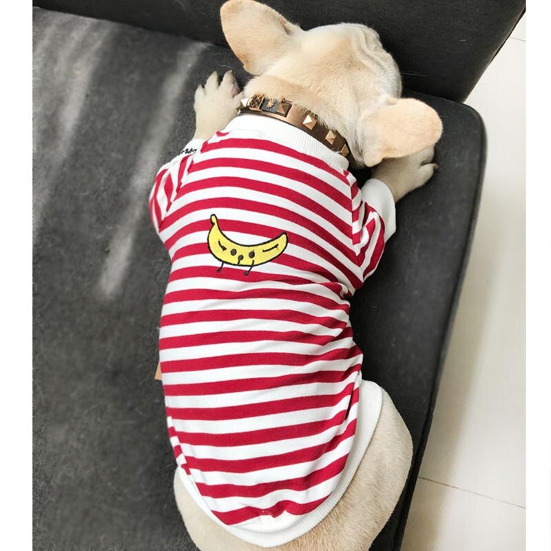 Stripe Banana Long Sleeve Top Matching Jumper Clothing for Owner and Dog