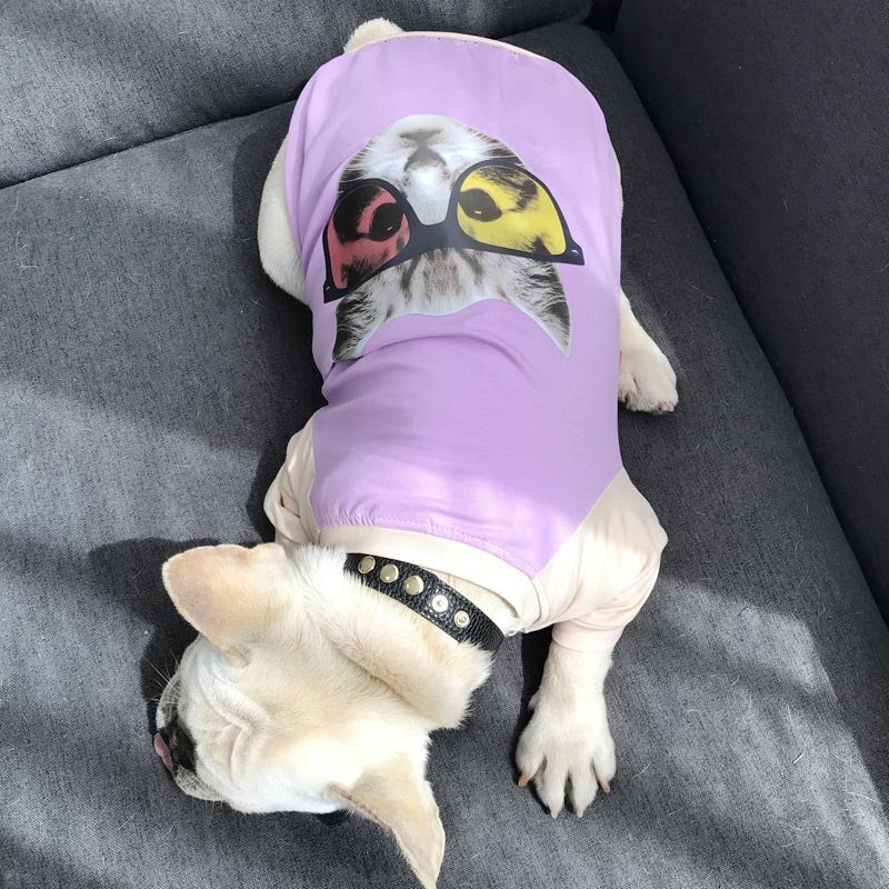 Cat Matching T Shirt Clothes for Owner and Pets Dog