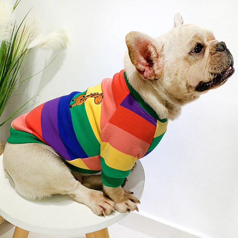 Rainbow Matching Sweater for Owner and Pet Dog