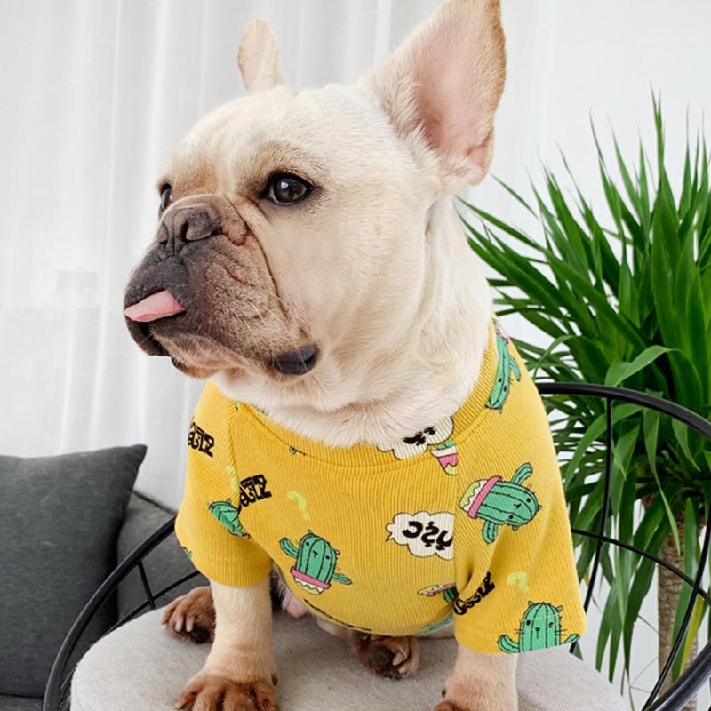 Cool CATus Sweater Matching Tops for Owner and Pet Dog