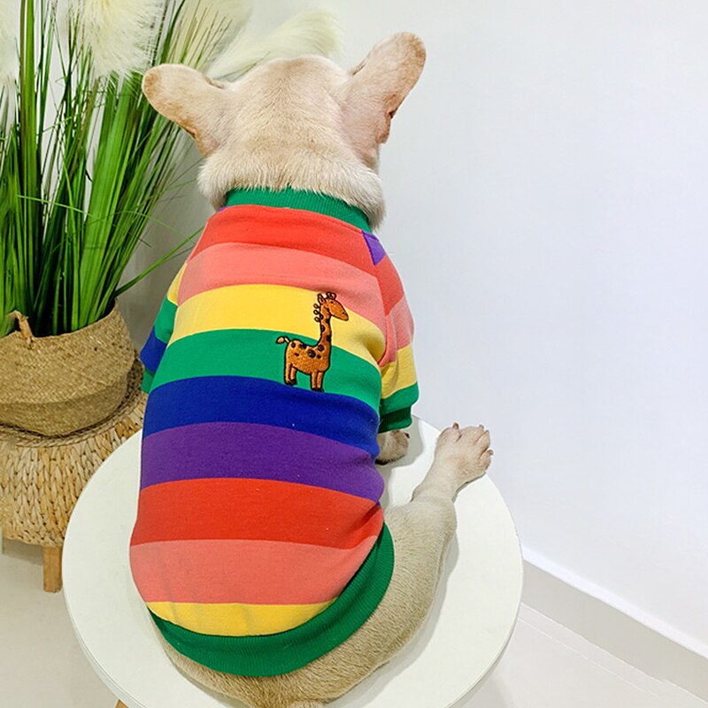 Rainbow Matching Sweater for Owner and Pet Dog