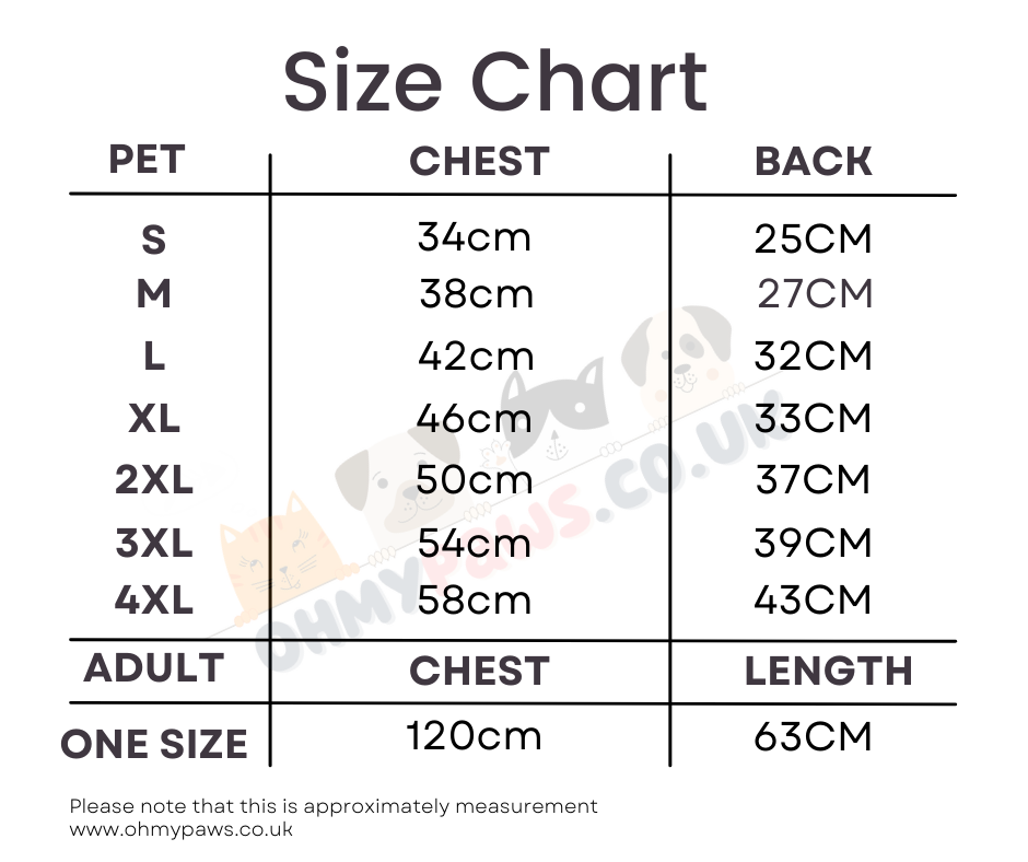 B Oversized T-Shirt Matching for Owner and Pet