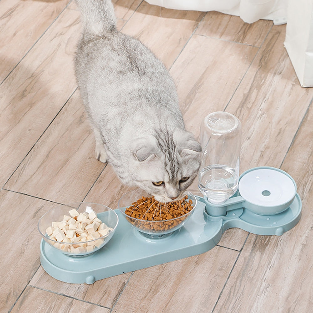 3-in-1 Feeding Bowls with Automatic Cat Dog Drinking Bowl